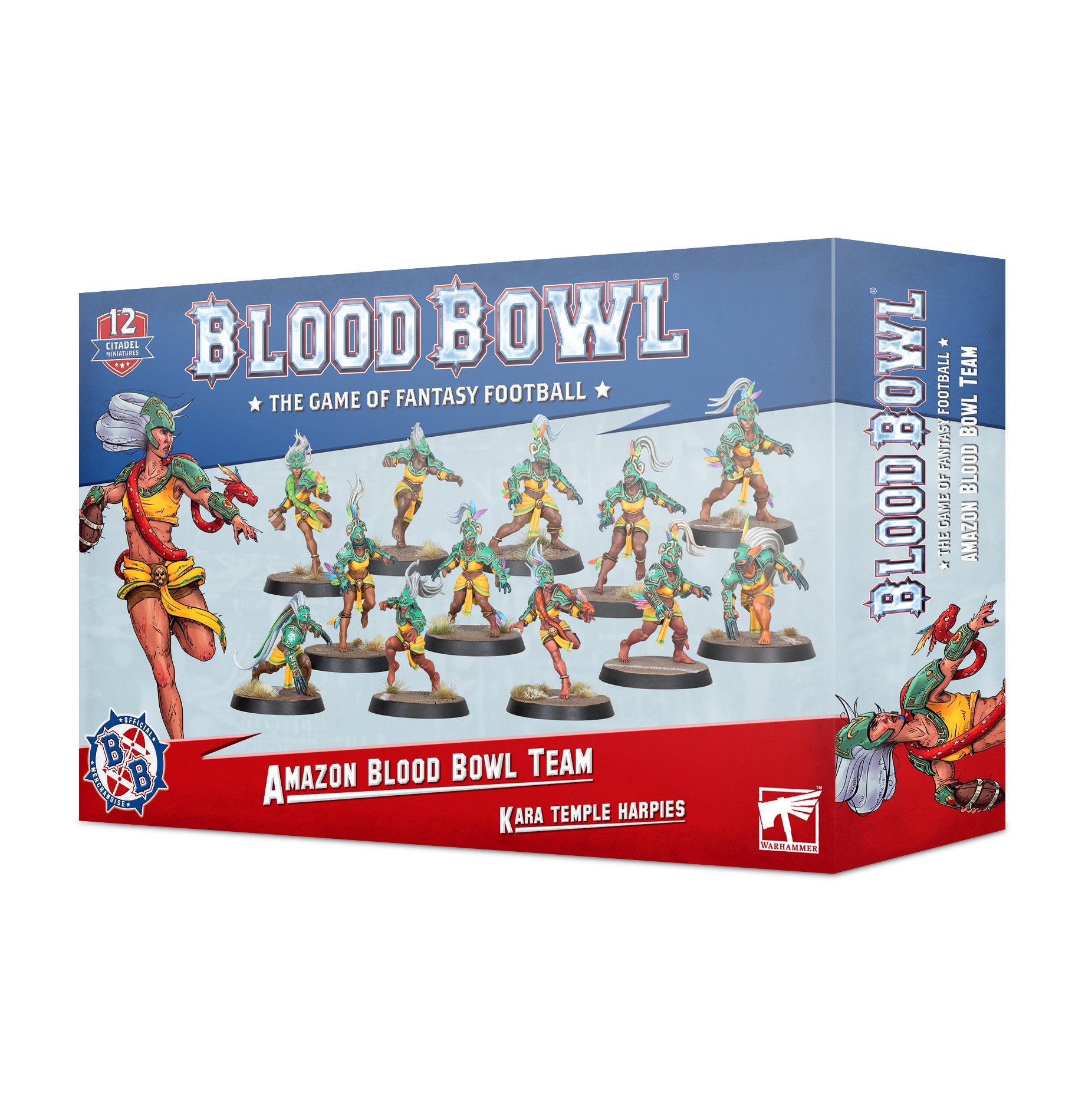 Blood bowl - Amazon blood bowl team